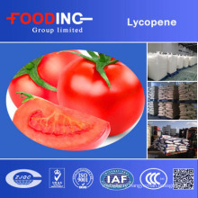 Tomato Lycopene. Tomato Extract Lycopene. Natural Lycopene Powder